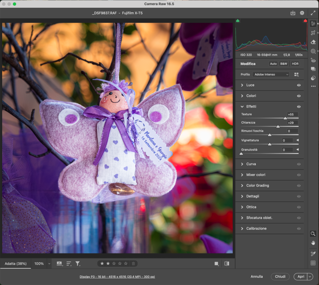 Camera-Raw-1024x915 Perché preferisco Adobe Bridge e Camera Raw invece di Lightroom