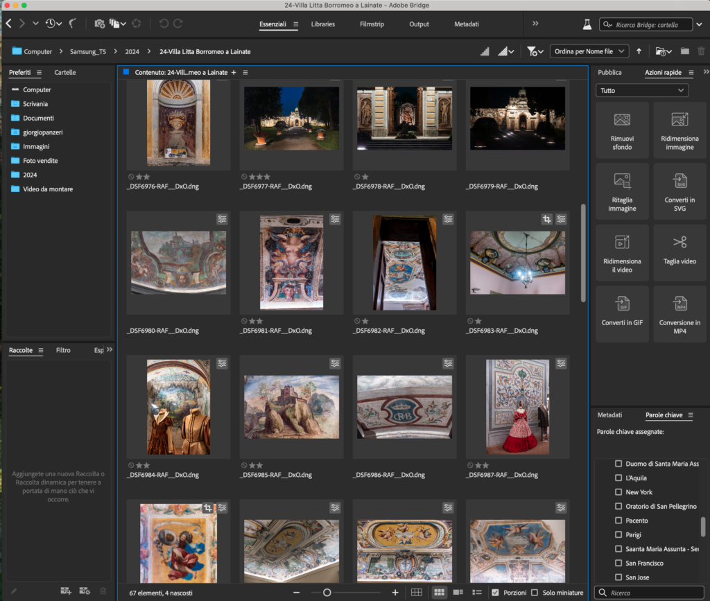 briidge-1024x867 Perché preferisco Adobe Bridge e Camera Raw invece di Lightroom